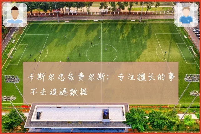 卡斯尔忠告费尔斯：专注擅长的事 不去追逐数据